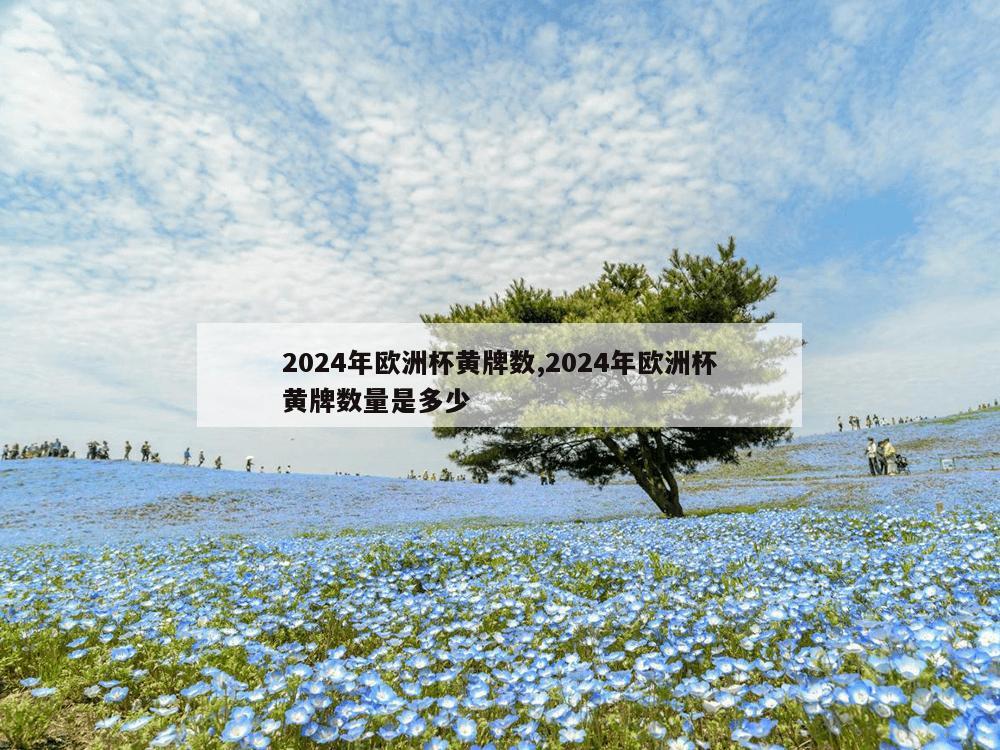 2024年欧洲杯黄牌数,2024年欧洲杯黄牌数量是多少