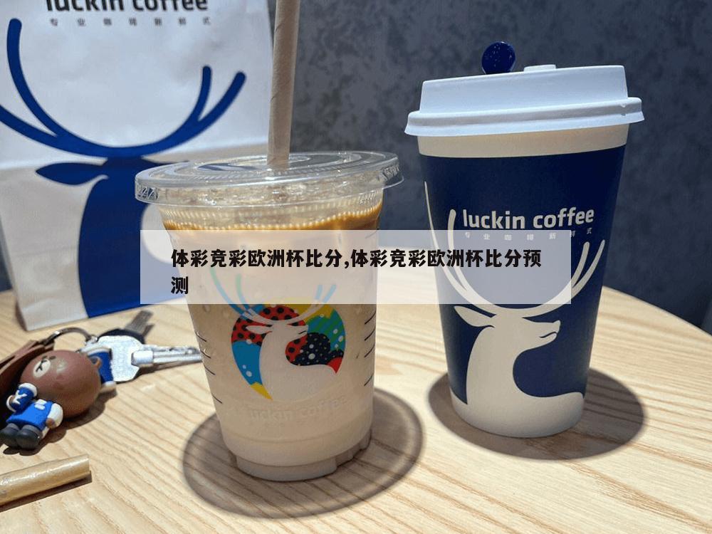 体彩竞彩欧洲杯比分,体彩竞彩欧洲杯比分预测