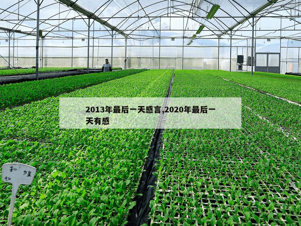 2013年最后一天感言,2020年最后一天有感