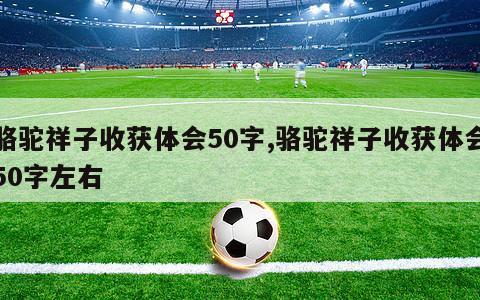 骆驼祥子收获体会50字,骆驼祥子收获体会50字左右